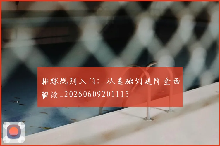 排球规则入门：从基础到进阶全面解读_20260609201115