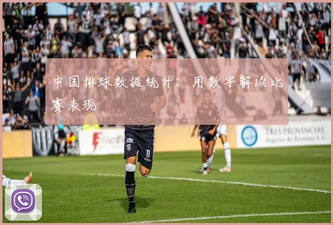 中国排球数据统计：用数字解读比赛表现