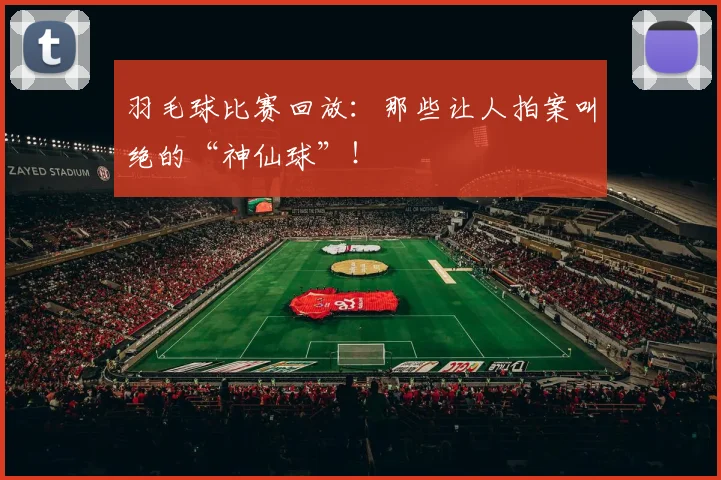 羽毛球比赛回放:那些让人拍案叫绝的“神仙球”!