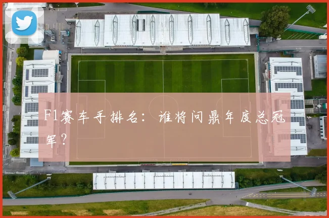 F1赛车手排名:谁将问鼎年度总冠军?